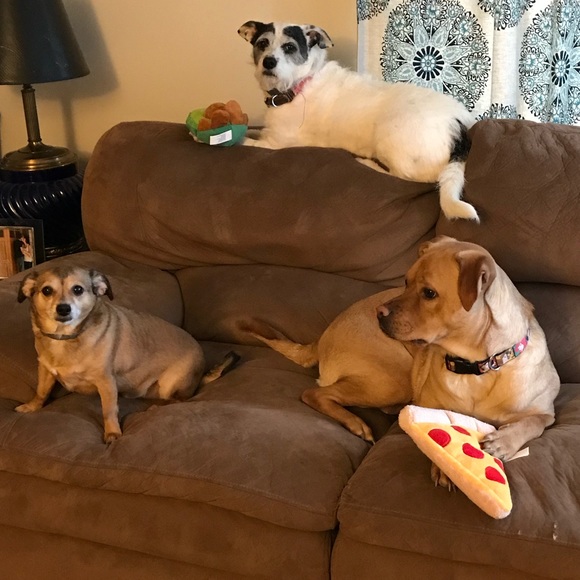 Meet your Posher, Kayla - Picture 7 of 8